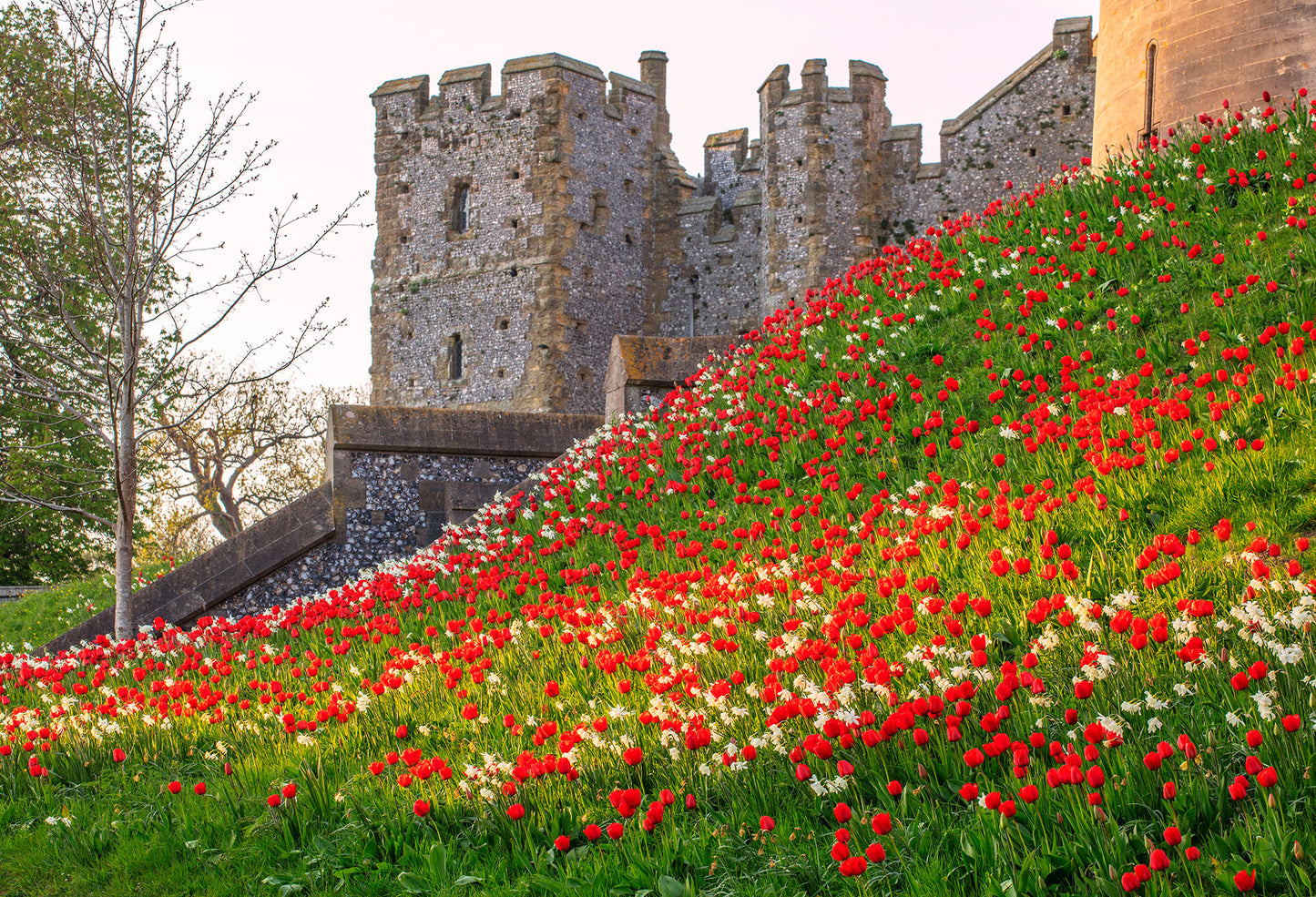 Arundel Castle Tulip Festival - 23rd April 2026