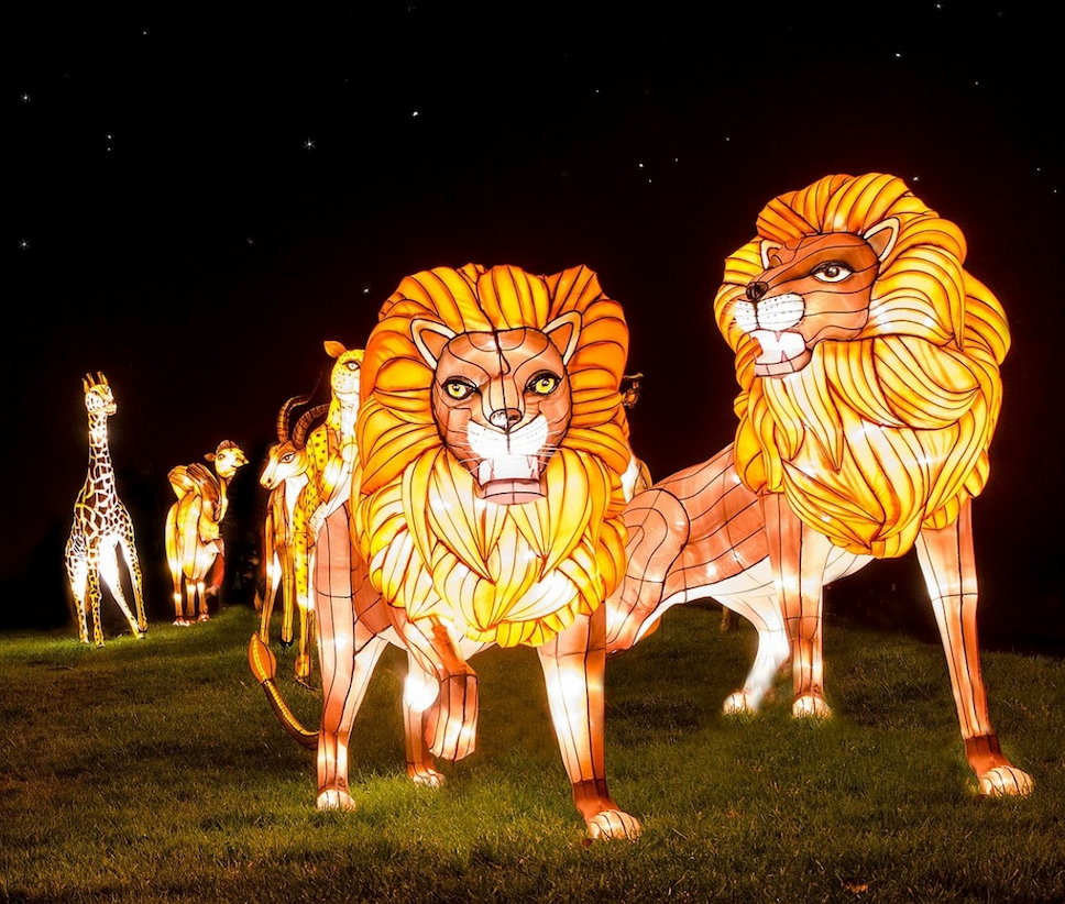 2nd December 2024 - 4th December 2024 - Longleat Festival of Light