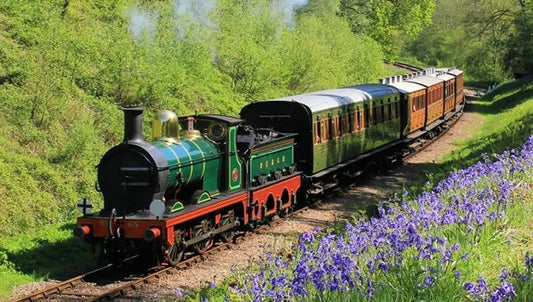 Steam and Cream - Borde Hill Gardens and the Bluebell Railway - 2nd July 2026