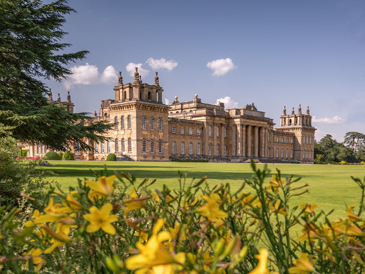 Blenheim Palace Flower Show - 28th June 2025